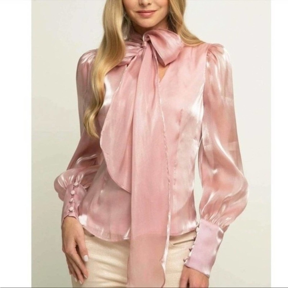 Eva Franco Pink Blouse Size XS